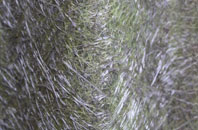 Brompton fibreglass roof work